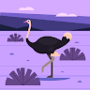 Meet your Posher, Joey